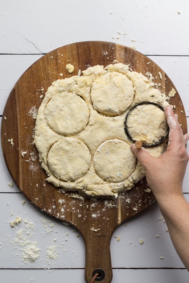 Southern Biscuits dough cut with a biscuit cutter