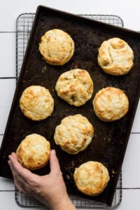 Southern biscuits recipe baked on a sheetpan
