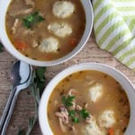 Apple and chicken dumpling soup