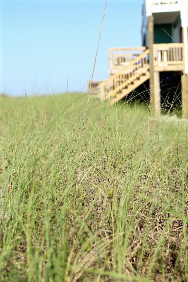 seagrass destin florida beach