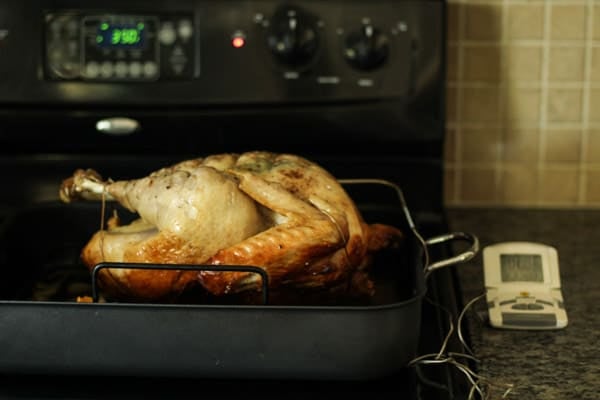 Duck fat roasted turkey recipe 