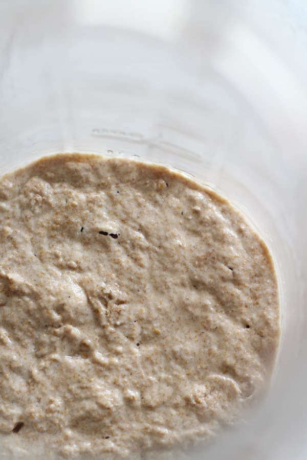 Ripe spelt sourdough starter