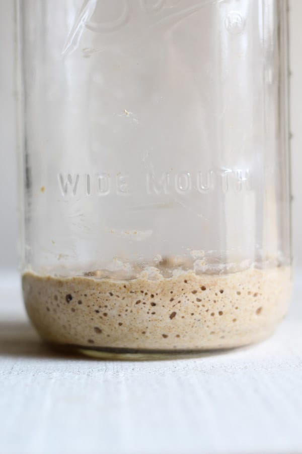 Feeding a sourdough starter day 3