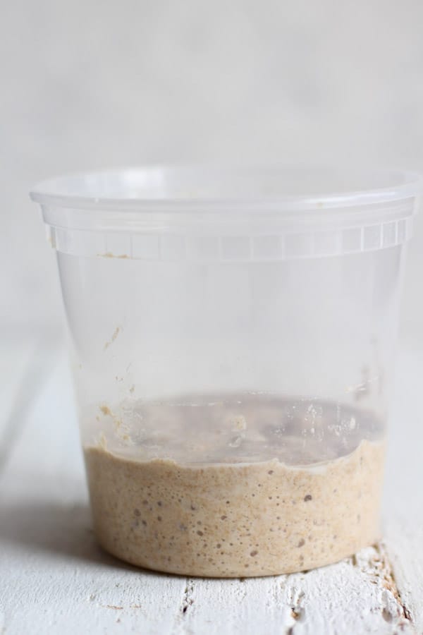 Spelt Sourdough starter out of the freezer