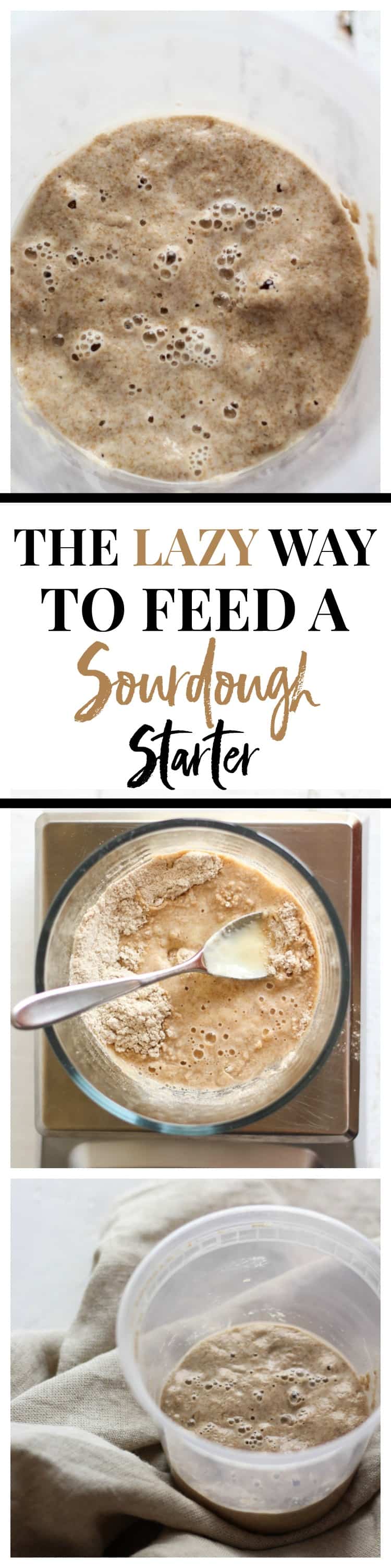 The easy way to feed a sourdough starter