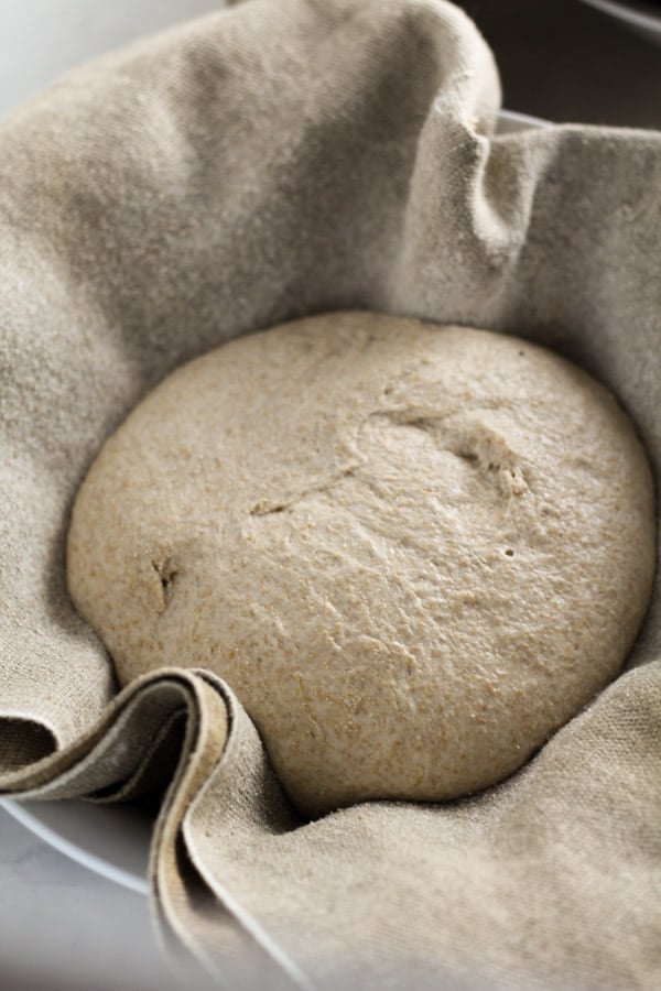 Sourdough honey spelt bread fermenting up close