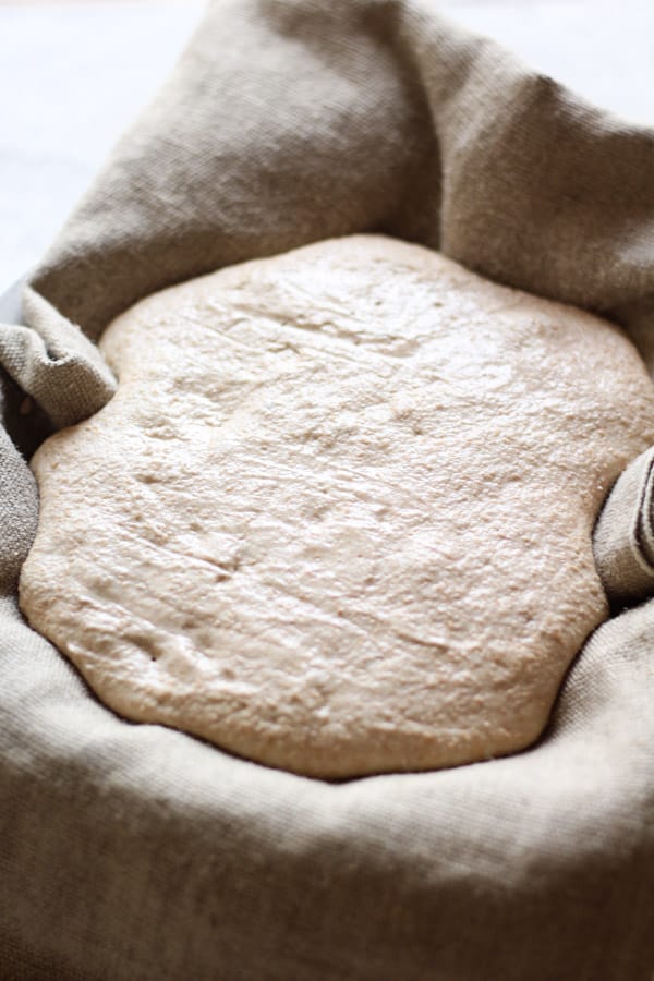 Sourdough honey splet bread dough 2nd fermentation