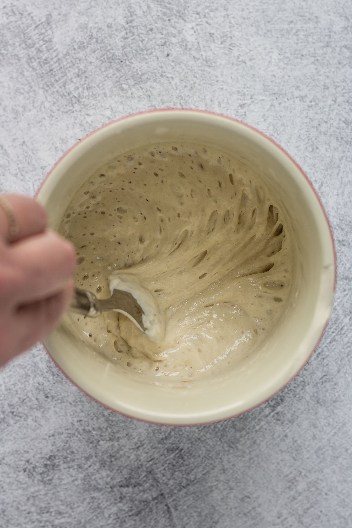 Ripe sourdough starter in a canister