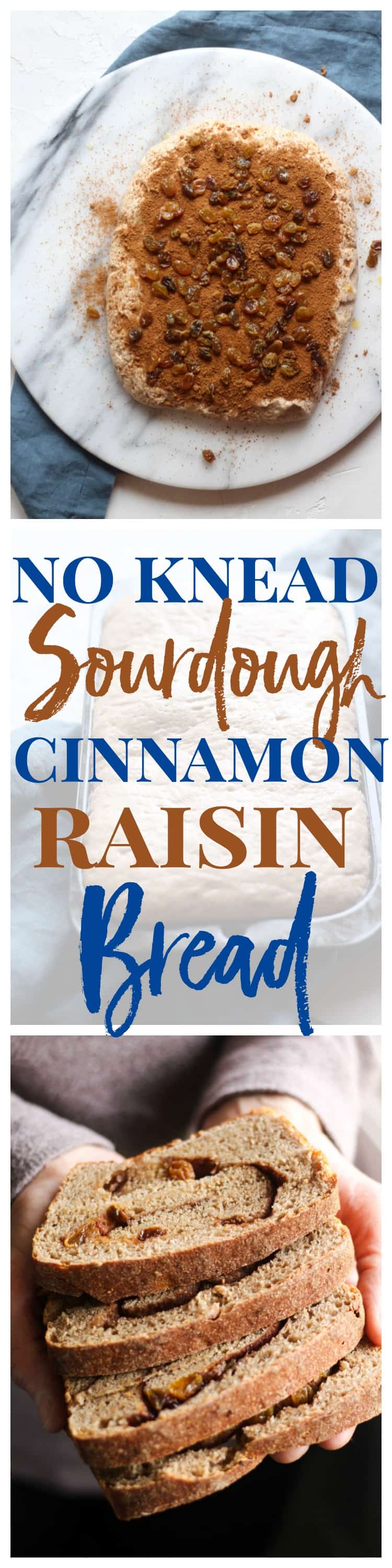 This no knead cinnamon raisin bread
