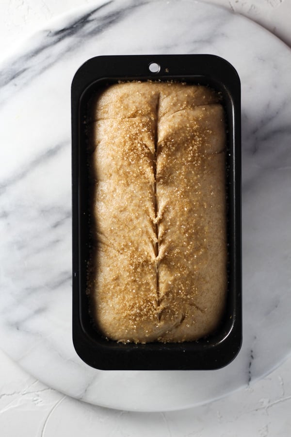 Sourdough Spelt Brioche Bread Proofed