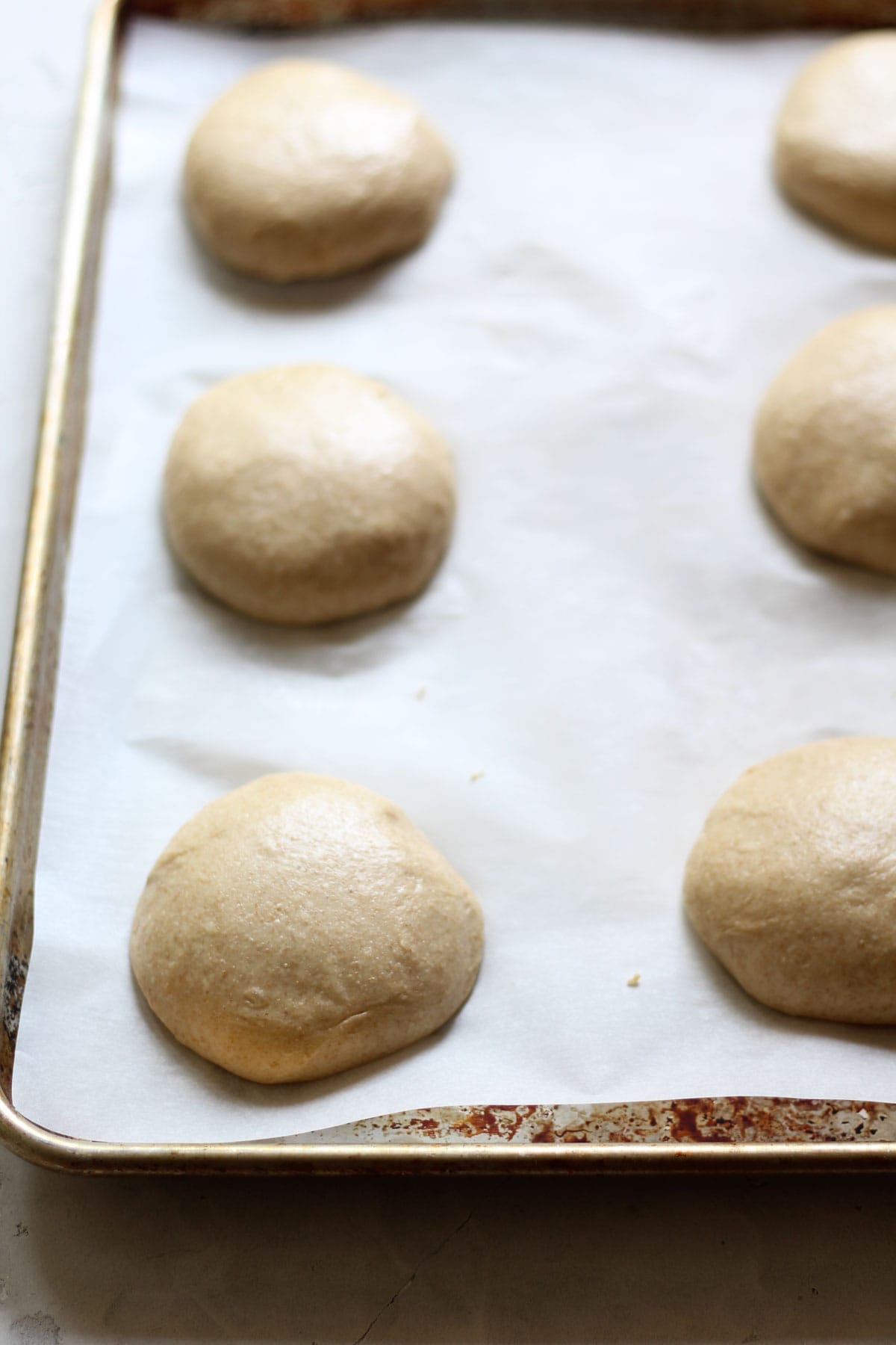 sourdough hamburger buns shaped on a sheet pan