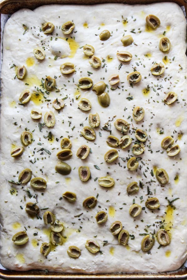 Sourdough Focaccia dough proofed on a sheet pan with olives and rosemary