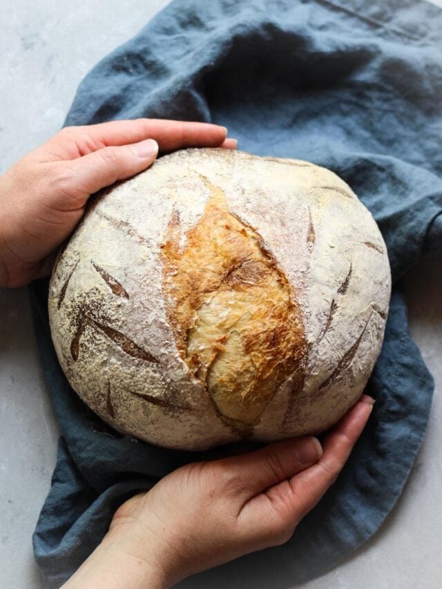 The Lazy Bakers Guide to Caring for Sourdough Starter