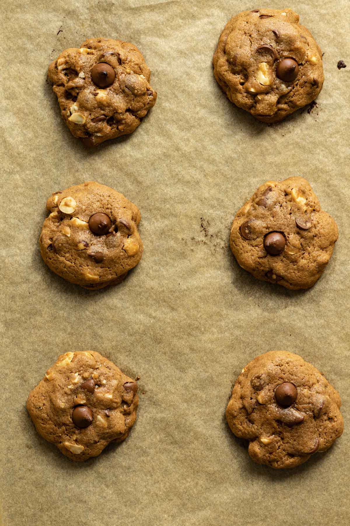 Baked double chocolate chip hazelnut cookies on parchment paper