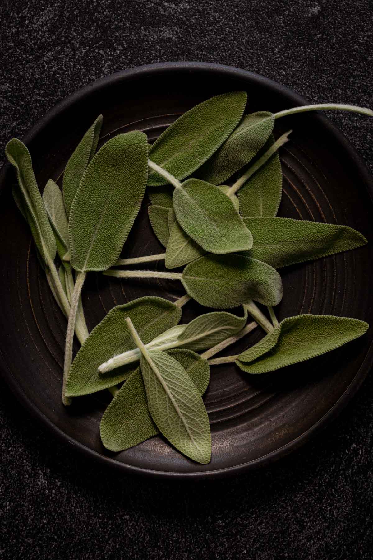 Fresh sage leaves on a black plate