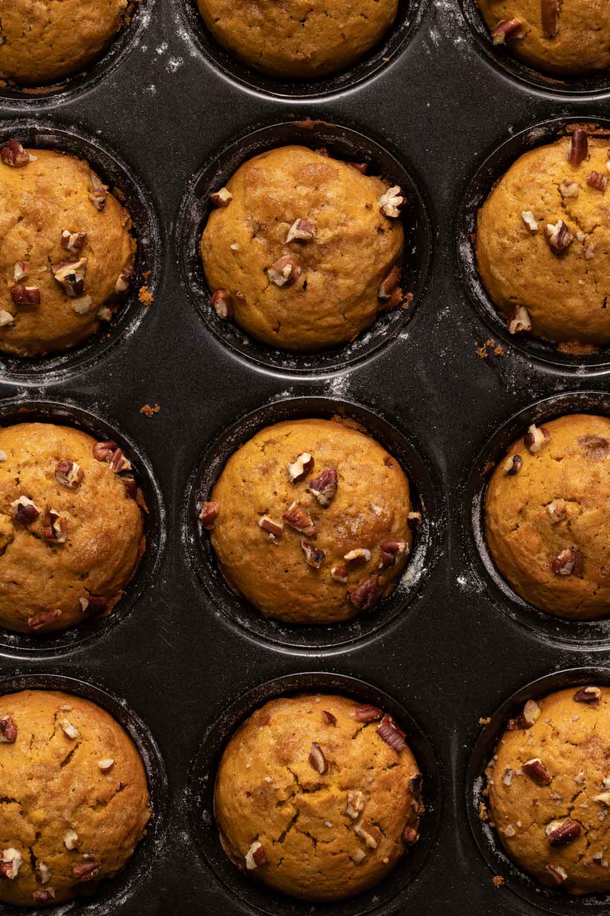 Pumpkin muffins baked in a muffin pan