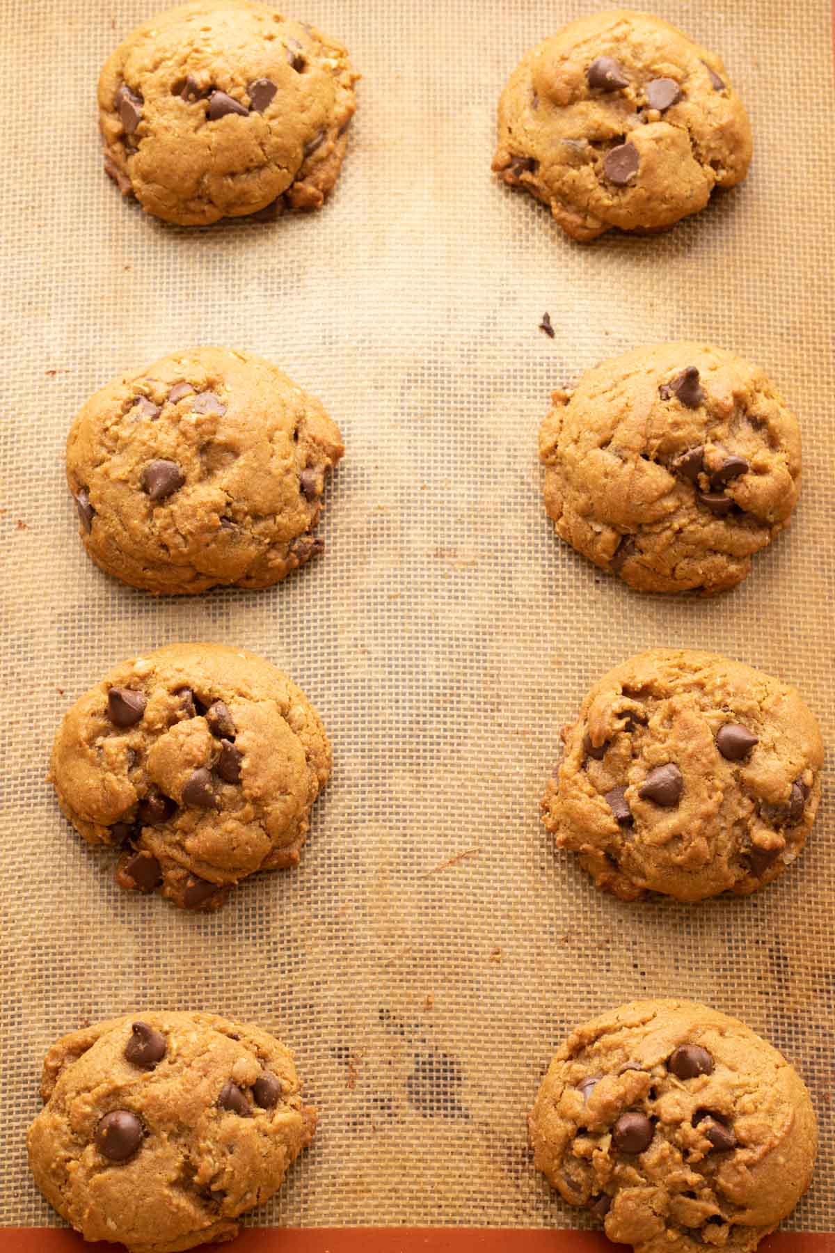 Oatmeal molasses chocolate chip cookies on a sheet pan