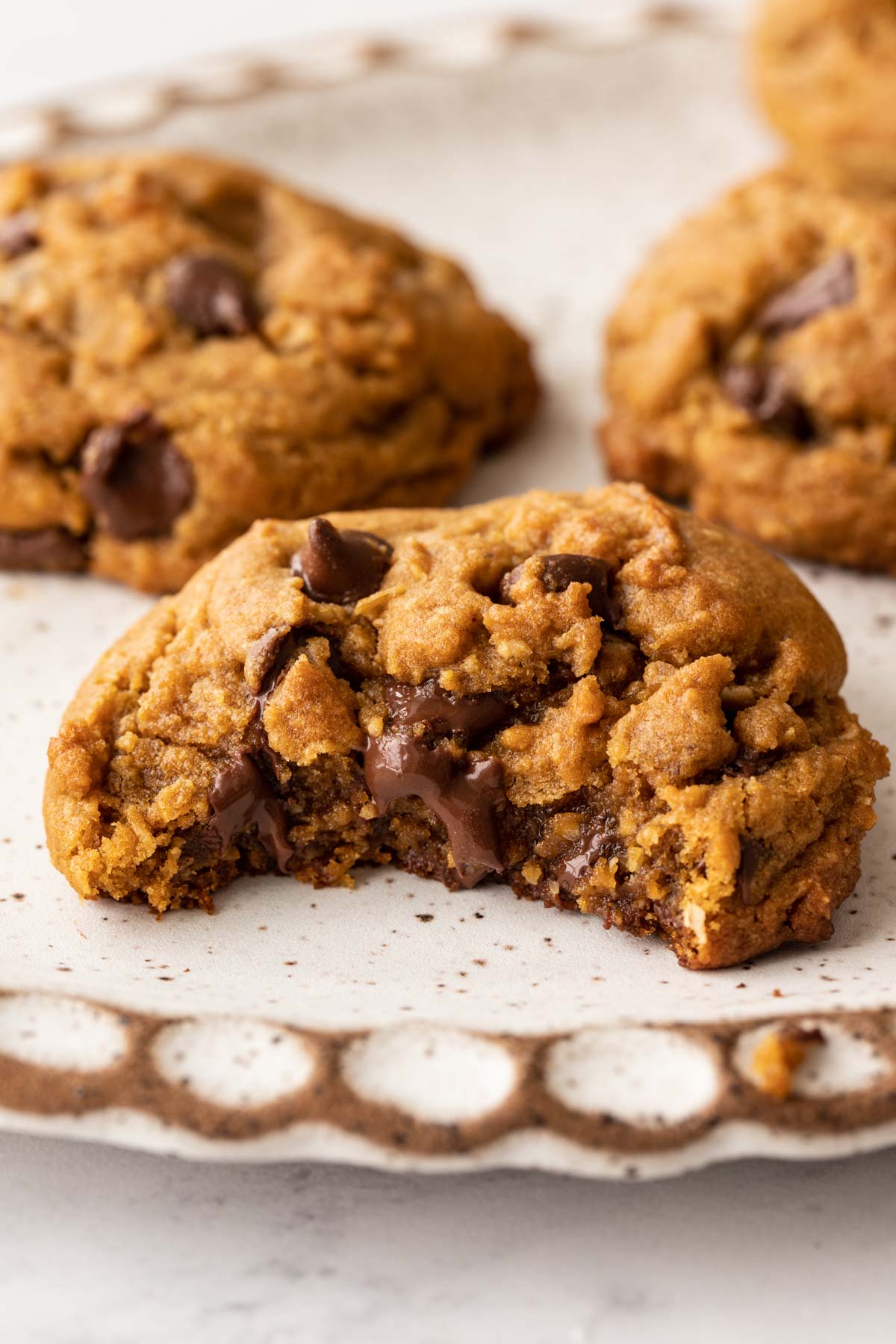 Oatmeal molasses chocolate chip cookies on a plate with a bite taken out of it