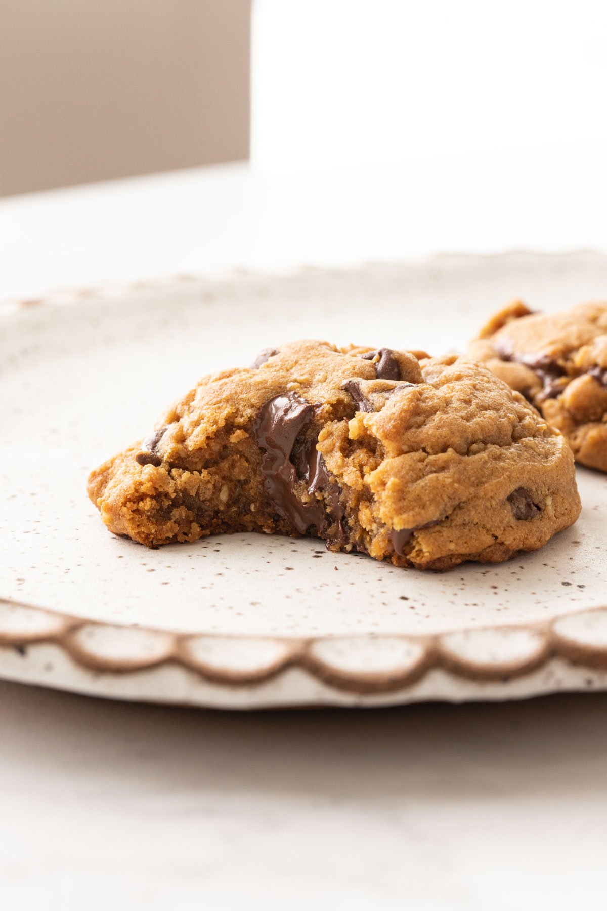 Oatmeal molasses chocolate chip cookie with a bite taken out of it