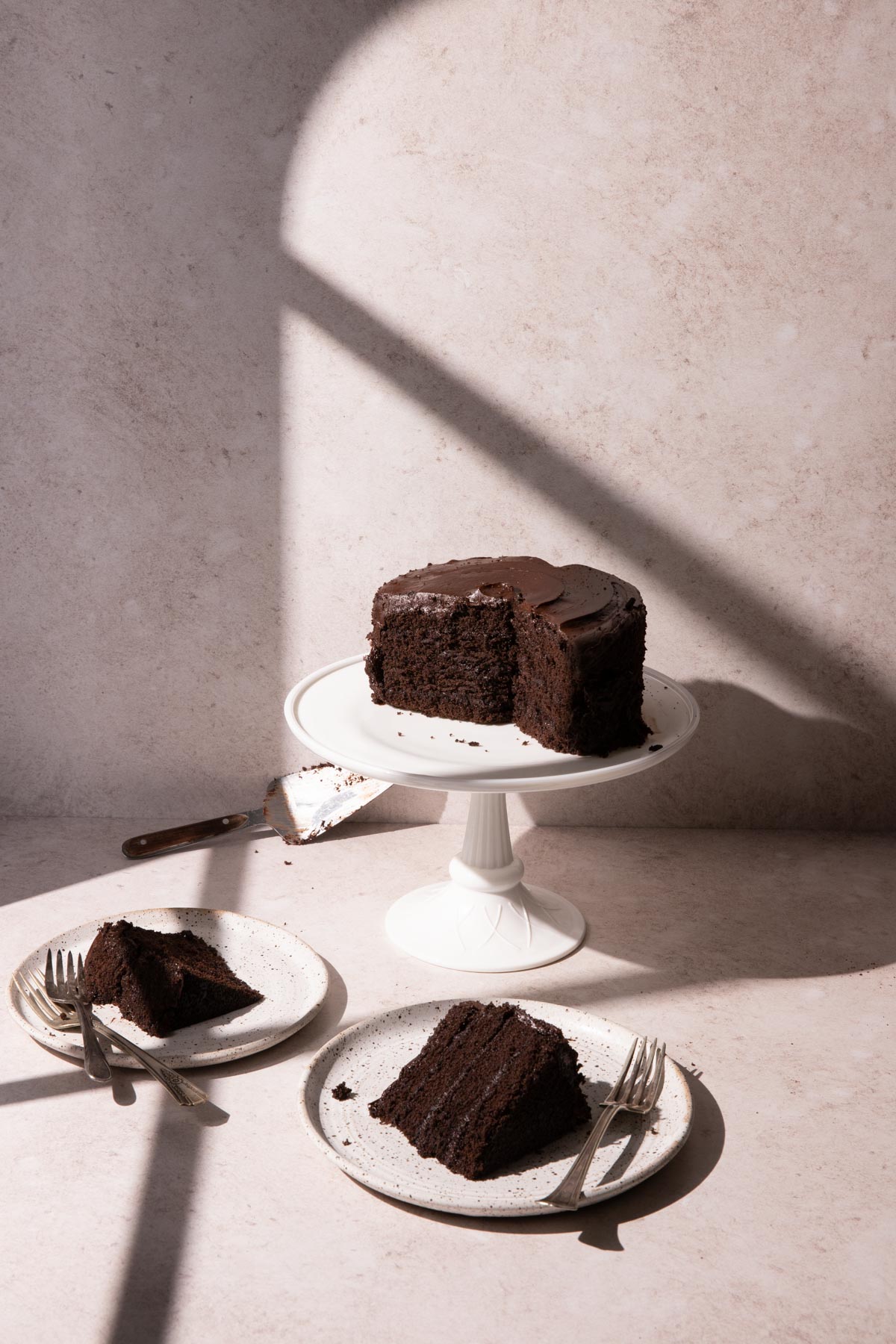 Chocolate cake on a cake stand with window light and shadows